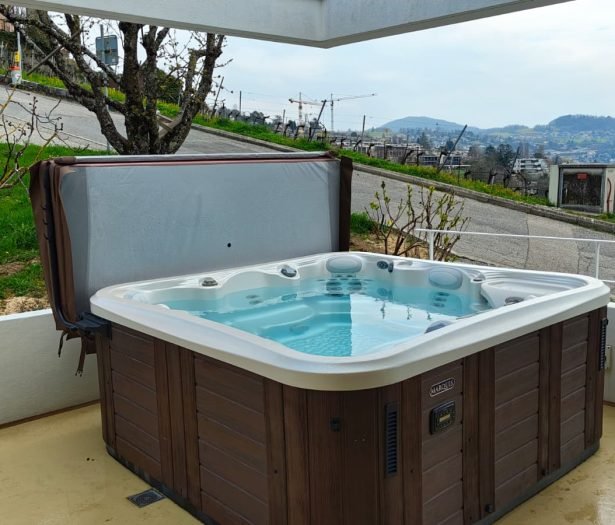 occasion Spa Marquis Signature (Année 2016) 2